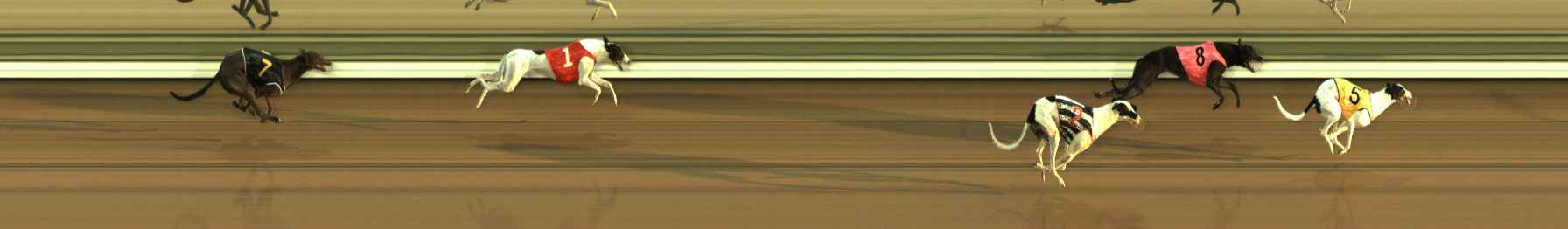 Race result finish photo